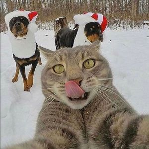 Meet your Posher, Jae